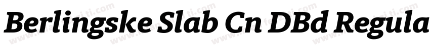 Berlingske Slab Cn DBd Regular字体转换
